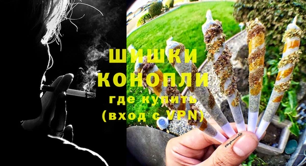 прущие грибы Балабаново