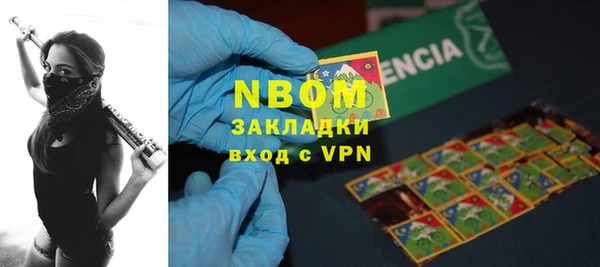 прущие грибы Балабаново