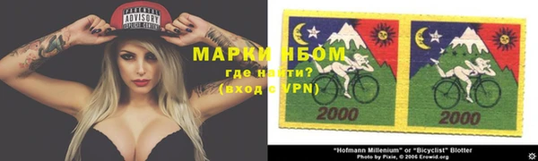 прущие грибы Балабаново