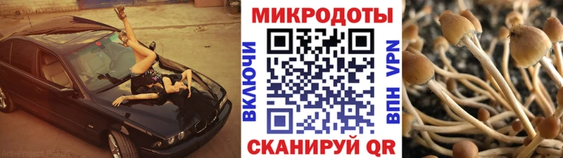 закладка  ОМГ ОМГ tor  Галлюциногенные грибы GOLDEN TEACHER  Данков 